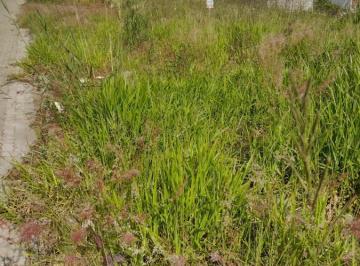Terreno , Vera Cruz · Terreno Para Venda Em Vera Cruz, Esmeralda