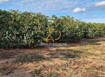 Rural · 140ha · Fazenda de Café