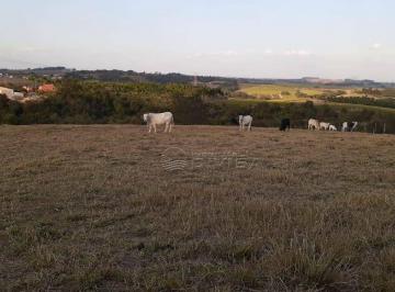 Rural · 20000m² · Chácara Em, Elias Fausto/sp de 0 m² À Venda por R$1.200.000