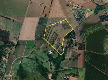 Rural · 146000m² · Sítio Em Guedes, Jaguariúna/sp de 0 m² À Venda por R$5.000.000