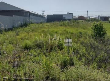 Terreno · Terreno Para Venda Em Vera Cruz, Terra Avista
