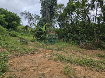 Rural · 41756m² · Sítio Em Boa Esperança de Lumiar Com 41.756 m², Com Nascente E Entrada Pelo Asfalto À Venda por R$720