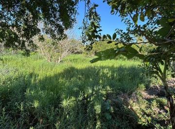 41084_iY55K2ob59X_41084692b573741dea.jpg · Terreno Com 386 m² No Bairro Açores Em Florianópolis Sc