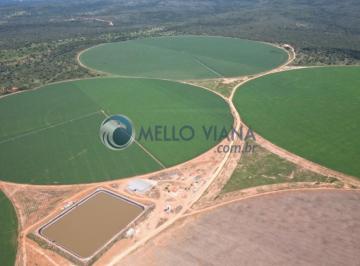 Foto 01 · Fazenda 2152 Hectares As Margens Do Rio São Francisco
