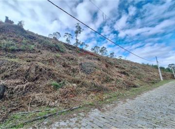 Terreno · 807m² · Últimos Lotes À Venda - Terreno Com 806 m² - Parque São Clemente - Nova Friburgo - Lote 24