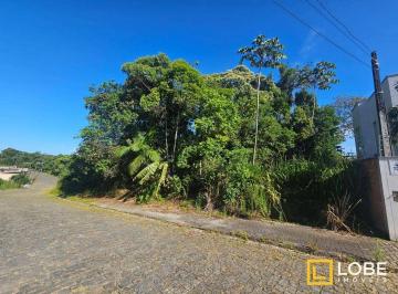77c8242d780311b5b2739ae239833c4d.jpg · Terreno À Venda, 810 m² - Ponta Aguda - Blumenau/sc