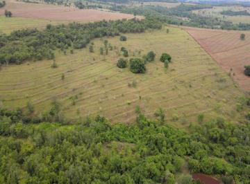 Foto 12 · Chácaras Em Condomínio, Uberlândia - Mg Com 20.000 M²;
