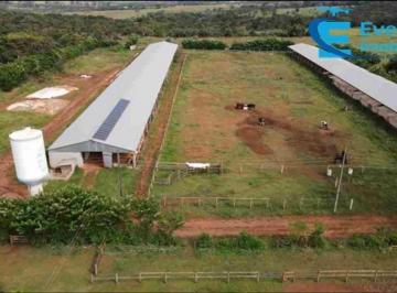 Foto 99 · Sítio No Município de Uberlândia