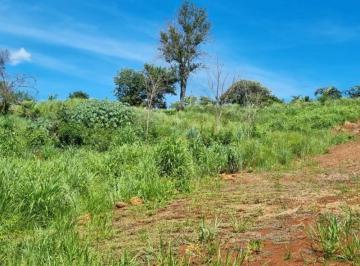 Foto 02 · Oportunidade Chácara 3.968,11 m² - Condomínio Lago Verde - Miranda - Valor R$650.000