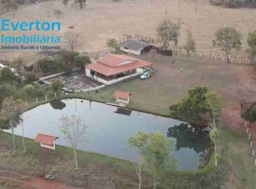 Foto 67 · Excelente Sítio de 3,47 Alqueires, Ou Seja, 16,84 Hectares Em Uberlândia - Mg;