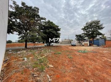 Foto 2 · Imoveis - Em Residencial Bertolucci