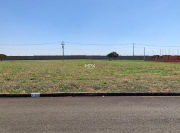 Foto 2 · Imoveis - Em Rio Das Pedras