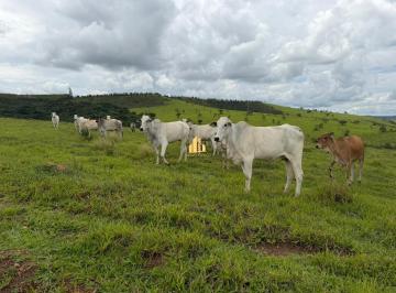 imovel_2237_30934.jpg · Imoveis - Área Rural de Araxá