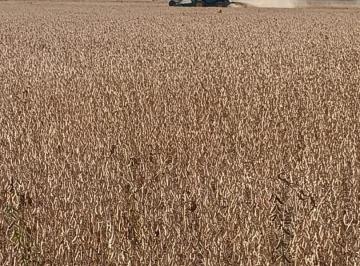 Terreno · 2170m² · Fazenda Soja Paranatinga 2100 Ha - Plantando