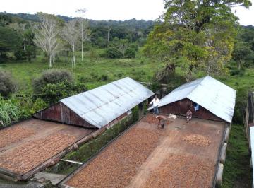 Rural · 88ha · Fazenda Para Venda Em Ubaitaba, Zona Rural
