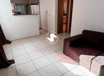 34940115_g.jpg · Imoveis - Em Santa Cruz