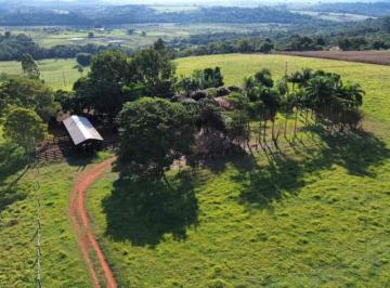 Foto 01 · Itapetininga Sitio 12 Alqueires Formado Em Pasto Curral Barracao Balança E Brete Casa de Caseiro