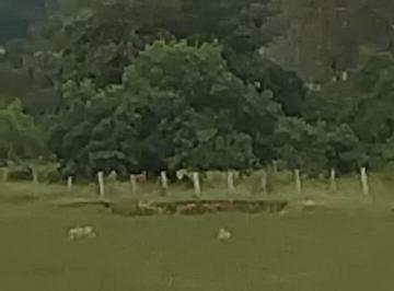 Foto 01 · Oportunidade Única! Sítio À Venda Em Cesário Lange - Sp: 24.200 m² de Área. Venha Conferir!