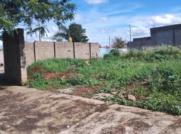 Terreno · 420m² · Terreno À Venda, Residencial Palmeira Real - Limeira/sp
