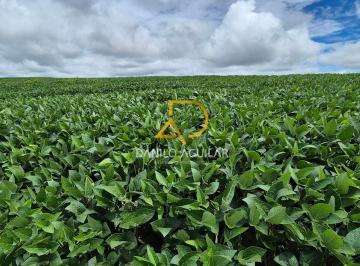 Rural · 657ha · Fazenda de Dupla Aptidão