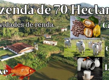 Rural · 70ha · 4 Quartos · 30 Vagas · Fazenda Para Venda Em Ubaitaba, Zona Rural, 4 Dormitórios, 2 Suítes, 3 Banheiros, 30 Vagas