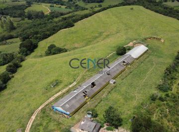 Terreno · 16ha · Linda Fazendinha de 16,5 Ha Com Lavouras E Granja de Frango