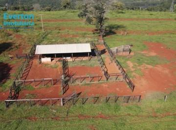 Foto 13 · Fazenda 97,13 Hectares 20,06 Alqueires Em Uberlândia Mg