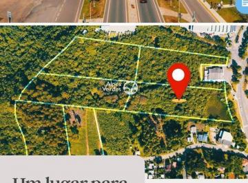 tqpfzuc2odg3yjy0odhmotcy_md · Vende - Se Área Frente Rodovia Rs115 - 19.688.2 m² - Valor R$