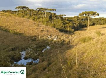 4nbgobk2odg3ownhmzjjnzmx_md · Sítio À Venda, 50000 m² por R$625.000 - Recosta - São Francisco de Paula/rs