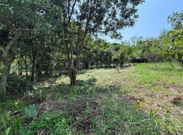 Terreno · 387m² · Terreno No Bairro Açores