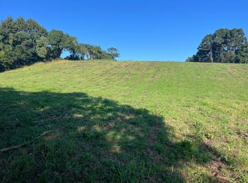 Terreno · 3000m² · Terreno Em Eucaliptos, Fazenda Rio Grande/pr de 3000 m² À Venda por R$180.000