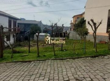 Terreno · 360m² · Excelente Terreno a Venda Em Caxias Do Sul - Rs