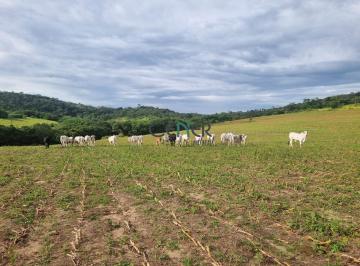 Rural · 158m² · Fazenda Empreendimento de 158,83 Ha por Em Esmeraldas Mg