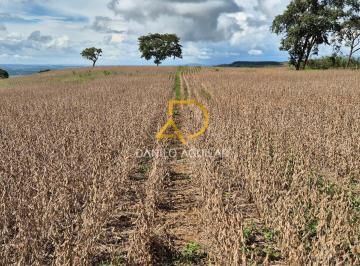 Rural · 128ha · Fazenda Mista Para Lavoura E Pecuária