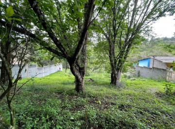 Terreno · 2050m² · Terreno Com Pomar Formado E Pronto Para Construir