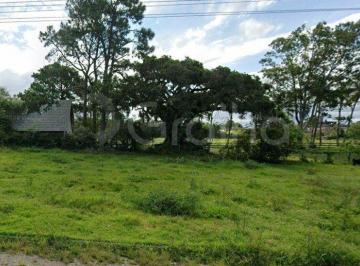 Terreno · 450m² · Terreno Com 450 m² Em Loteamento No Ribeirão Da Ilha