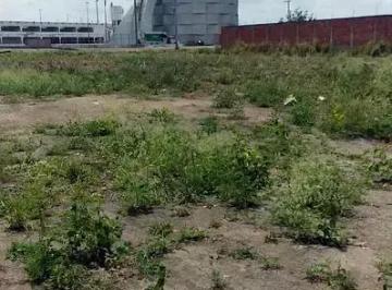 Terreno · 10m² · Terreno À Venda Na Vila Da Rainha – Próximo À Uenf E Cepop, Com 450 m² E Escritura - Campos Dos Goyt