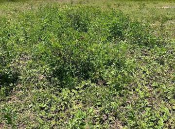Terreno · 10m² · Terreno de 360 m² À Venda No Condomínio Cidade Nova – Cajueiro | Excelente Localização - São João Da