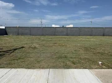 Terreno · 10m² · Terreno À Venda, Parque Tarcisio Miranda, Campos Dos Goytacazes, Rj
