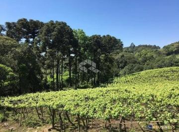 Terreno · 10m² · Terreno À Venda, Desvio Rizzo, Caxias Do Sul, Rs
