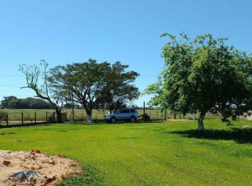 Rural · 3500m² · 1 Quarto · Rurais À Venda - Em Passo de Torres