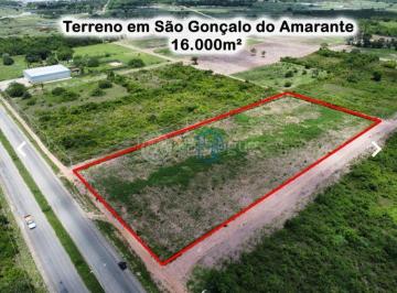 Terreno · 16000m² · Terreno / Área Em São Gonsalo - Área À Venda No Bairro Guajiru - São Gonçalo Do Amarante/rn