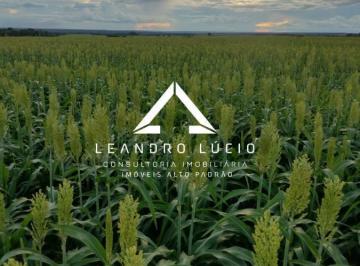 Rural · 4080m² · Fazenda Para Venda Em Ribeirão Cascalheira, Zona Rural