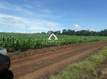 Rural · 1694000m² · 3 Quartos · Fazenda Para Venda Em Ribeirão Cascalheira, Zona Rural, 3 Dormitórios, 1 Banheiro
