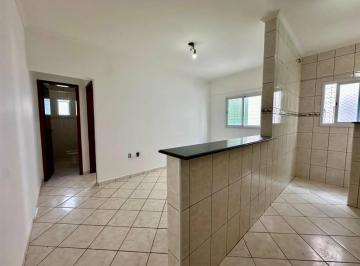 Apartamento · 45m² · 1 Quarto · 1 Vaga · Apartamento Com 45 m² - Ocian - Praia Grande Sp