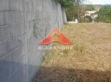 ypjdir8ltqki1769628571391.jpg · Imoveis - No Jardim Paraíso Do Sol