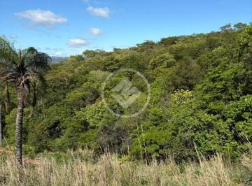 WhatsApp Image 2026-02-27 at 11.53.00 (2).jpeg · Terreno Rural Sendo 24 Hectares a Venda Santana Do Riacho