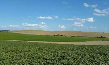11728398173227.jpg · Lapa, 532,40 Hectares, 220 Alqueires Ou 5.324.000 m², Sede Completa, Dupla Aptidão, À Venda, Paraná