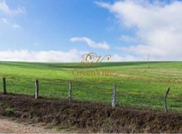 51726585209220.jpg · Imoveis - Zona Rural