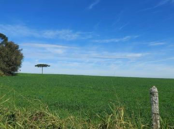 11728402896291.jpg · Imoveis - Zona Rural